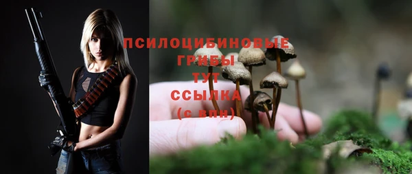 соль курить ск Алзамай