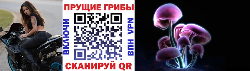 Псилоцибиновые грибы Psilocybe Красноуфимск