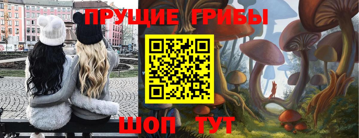 Псилоцибиновые грибы прущие грибы Красноуфимск